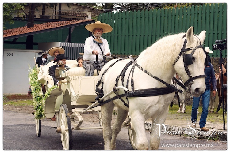 boda-cuajimalpa-ddll-pyj-007