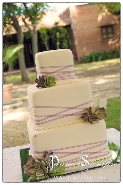 boda-la-troje-juriquilla-iyc015