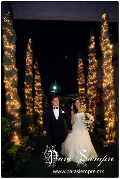 boda-salon-foresta-jyrcf001