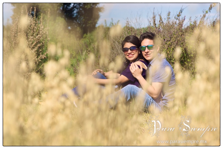 boda-salon-kristal-karen-daniel-011