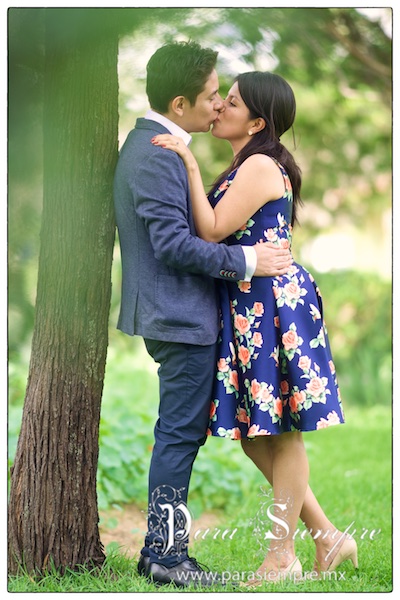 boda-salon-kristal-karen-daniel-014