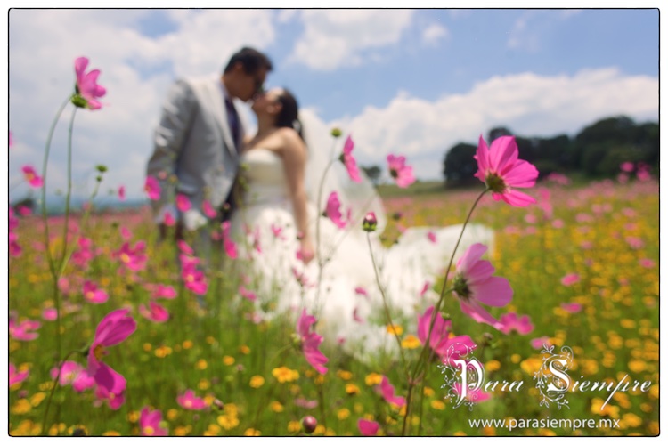 boda-tepotzotlan-myj037