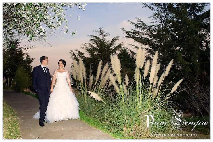 boda-tlazala-dyh020