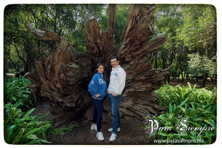 chapultepec-sesion-compromiso-ayd07