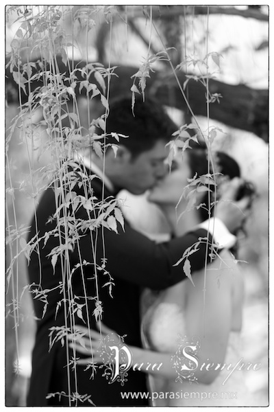 hacienda-san-andres-naucalpan-boda-myg015