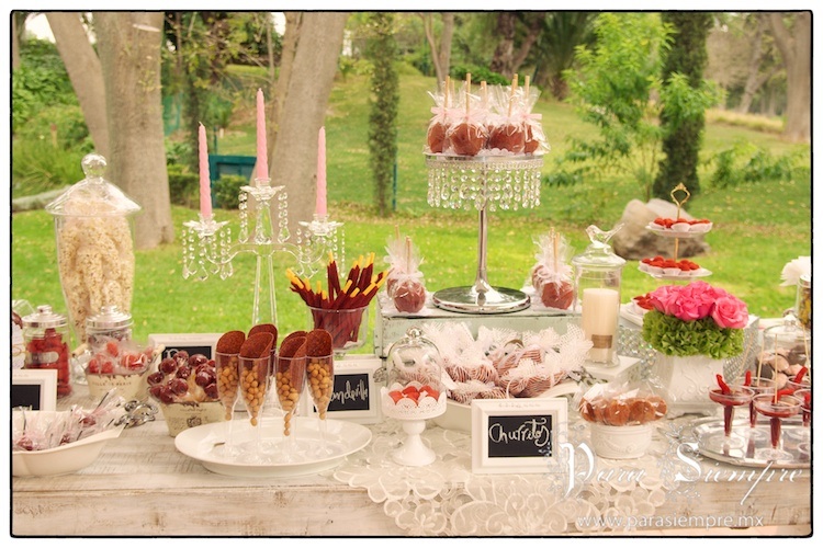 hotel-real-del-bosque-tula-boda-pym-009