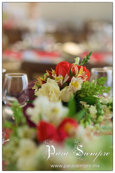 jardin-del-lago-tequesquitengo-boda-cyj-025