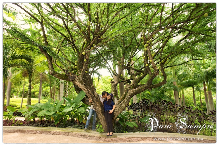 jardines-de-mexico-preboda-mym-002