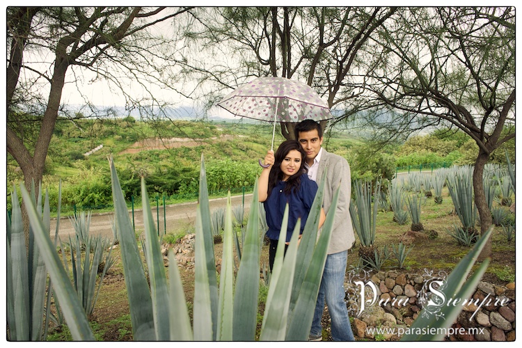 jardines-de-mexico-preboda-mym-004