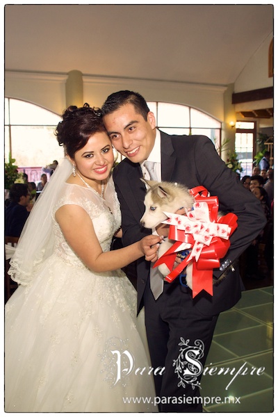 milpa-alta-boda-mym019