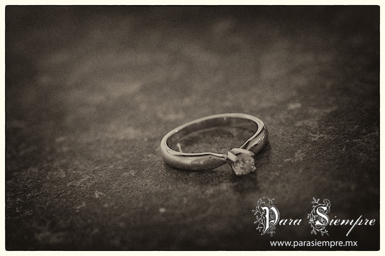 pbryaflp001