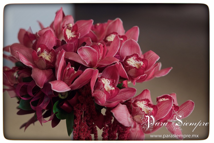 picrlypgr-004