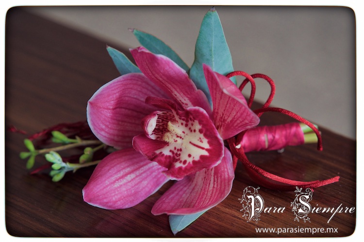 picrlypgr-005