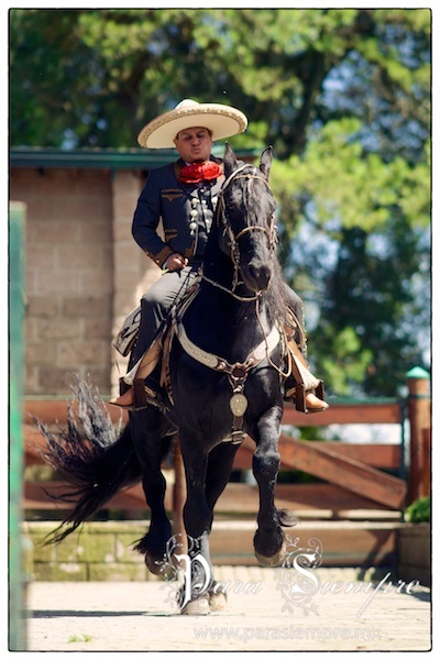 preboda-mexicana-contadero-pyj-025