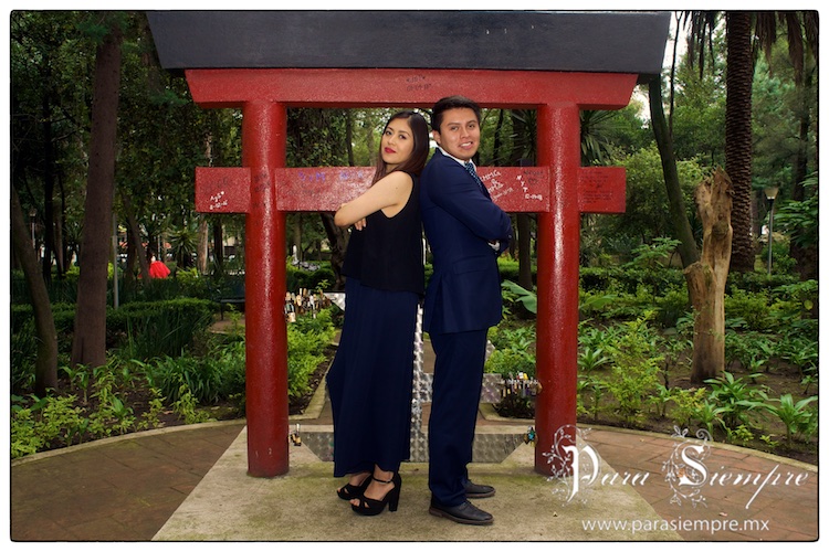 salon-kristal-boda-vyv010