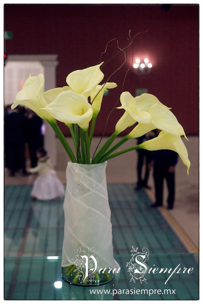 salon-kristal-boda-vyv028