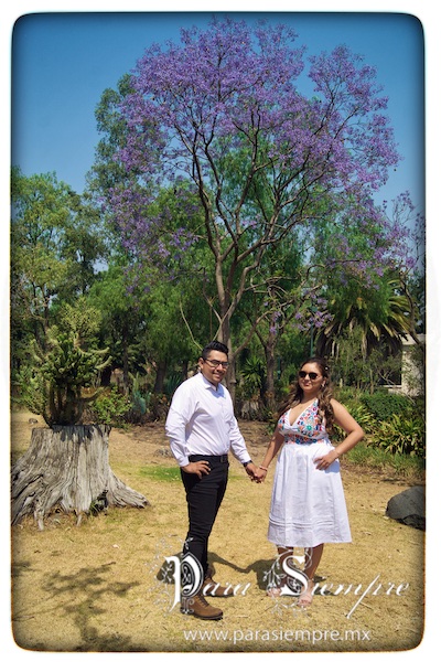 sesion-brenda-daniel-ac24-003