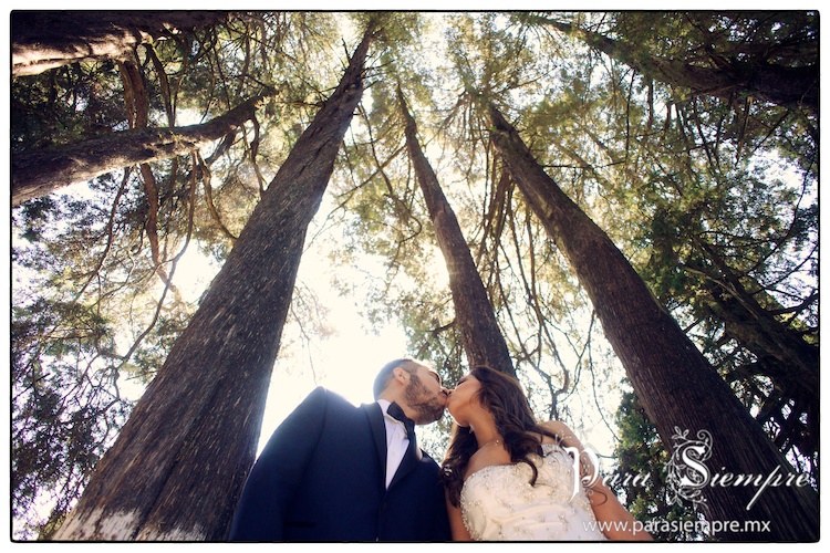 trash-the-dress-desierto-de-los-leones-jyr-021